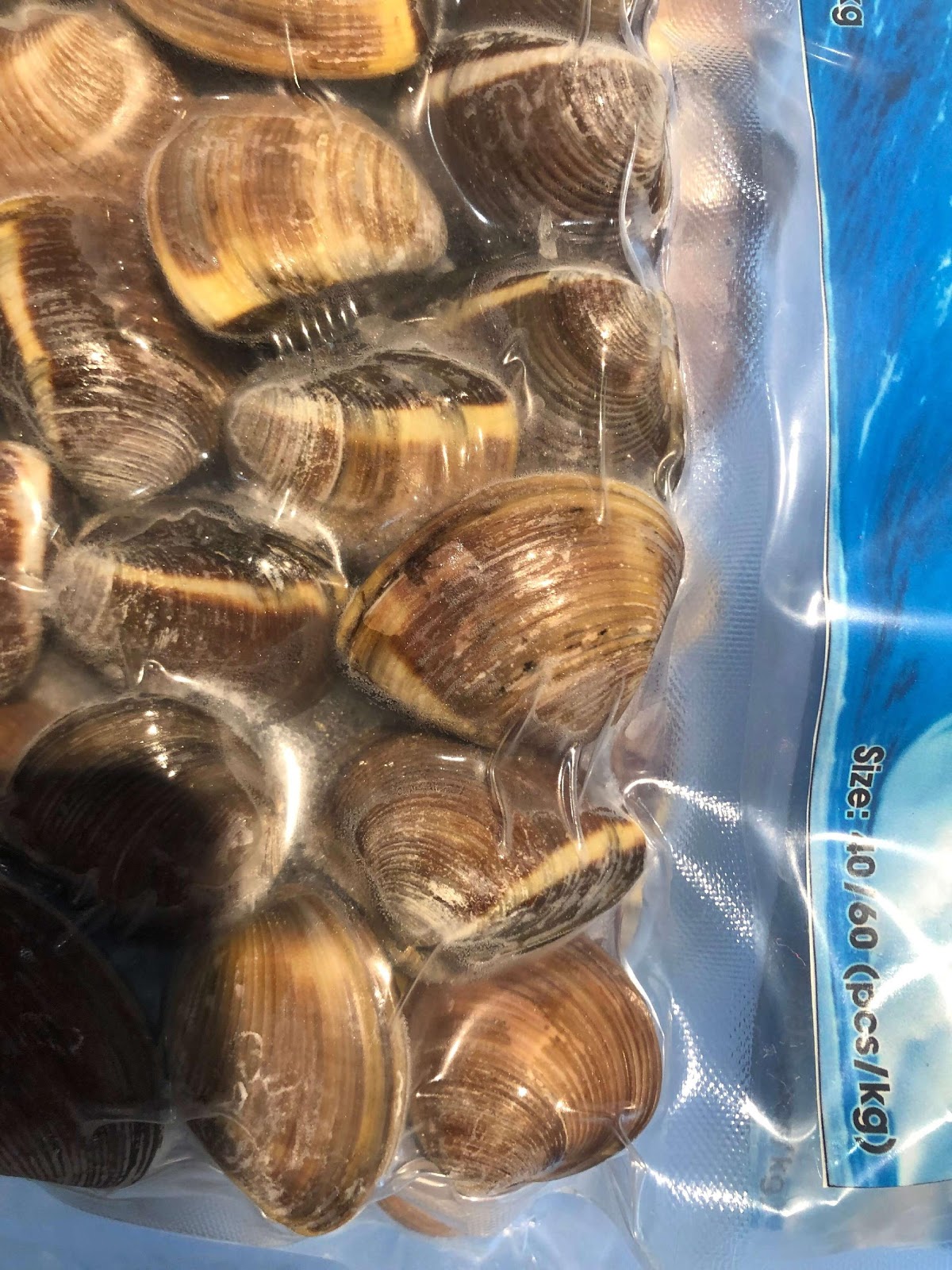 Clams in Shell – PanaPesca USA